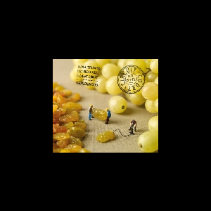 Jean Aussanaire - Eric Brochard - Clement Gibert (Arfi) – Déraisonnables