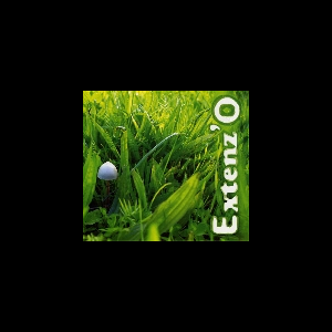 Extenz'o (Rocher - Benoit - Perraud - Thévenard) – ...