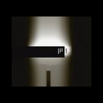 Tony Buck - Cor Fuhler - Anna Zaradny – Lighton