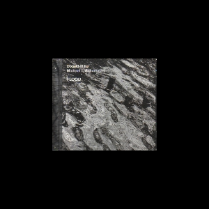 Donald Miller - Michael J. Schumacher – Flood