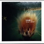 Gregory Buttner – Walze 1-8