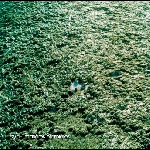 Syn (Anthony Saba) – Matieres Premieres