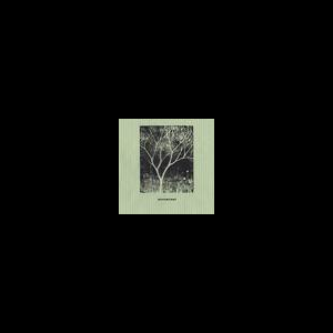 Encomiast – Encomiast