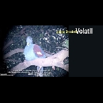 Julien Skrobek – Volatil