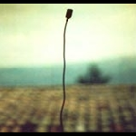 Jean-Luc Guionnet - Éric La Casa – Maison House Ii V