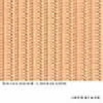 Guillaume Loizillon – Imposture