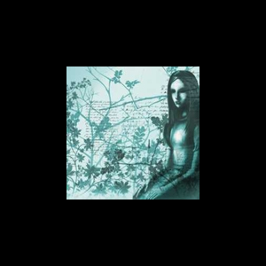 Black Sun – Territory Of Absence