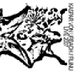 Kaspar Von Urbach/Ruinu – Live 2007