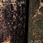 K-Lxm – Tone Decay Test