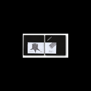 Colin Johnco – Pieces Of A Broken Buddah
