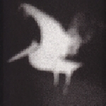 Bruce Mcclure – Vouchsafe Me More Soundpicture (Fain Make Glories)