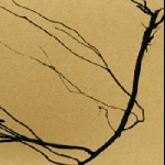 Jean-Luc Guionnet - Benjamin Duboc – W