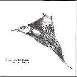 Jean-Luc Guionnet – Gezurrezko Joera