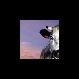Berline0.33 – S/T