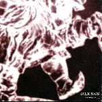 Silk Saw – Claudicating