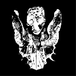 Roses Never Fade – S/T