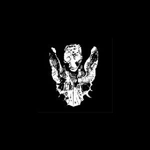 Roses Never Fade – S/T