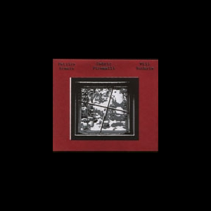 Patrice Grente - Cedric Piromalli - Will Guthrie – S/T