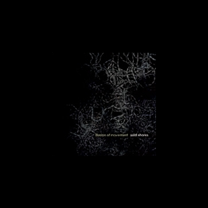 Wild Shores – Illusion Of Movement
