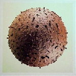 Cd_Slopper – Saskie Woxi