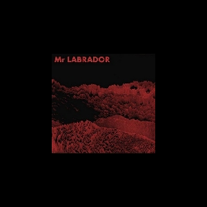 Mr Labrador – S/T