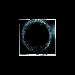 X25X – Distortion Of Life