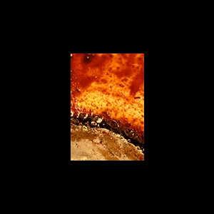 Lipo – Dark Matters