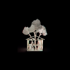 Pokett – Three Free Trees