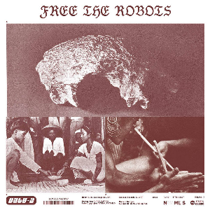 Free The Robots (Chris Alfaro) – Datu 2 (Silkscreened Cover)