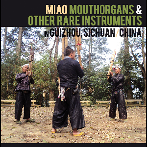 Various Artists – Miao Mouthorgans & Other Rare Instruments In Guizhou, Sichuan, China