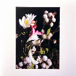 Thistle Group - P Wits – Fog On My Brain / Figure It Out