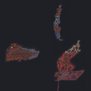 Warm Currency – Petals