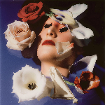 Snakeskin – They Kept Our Photographs