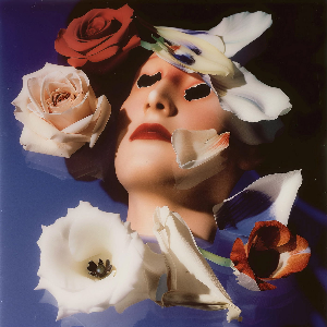 Snakeskin – They Kept Our Photographs