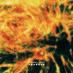 Jaroslav Kořán – Zahrada