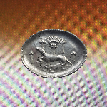 Anne Gillis + Xt – Animaux Vegetal