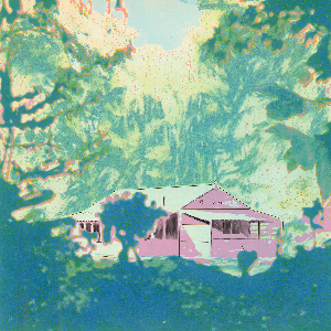 Edgar Wappenhalter – Ijsschots Veenlaag Mist