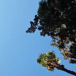 Koch-Kocher-Badrutt – Koch-Kocher-Badrutt