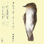 Romain Bertheau – Anatomy Of A Bird