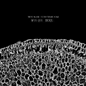 Fabrice Villard & Pierre-Stéphane Meugé – Musique Logique