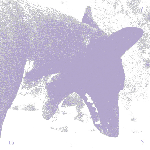 Laszlo Umbreit - Sirah Foighel Brutmann & Eitan Efrat – Là