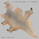 Belorukov - Bosshard - Denzler - Markvart – Bizarre Perspectives