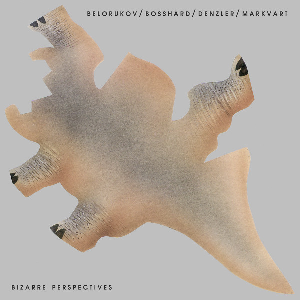 Belorukov - Bosshard - Denzler - Markvart – Bizarre Perspectives