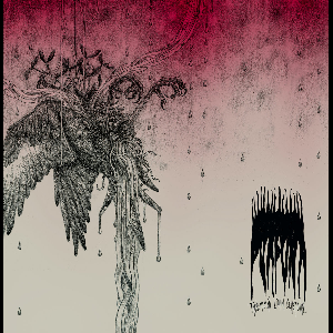 Purpura – Transmisión Líquida Ceremonial