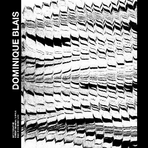 Dominique Blais – Monographie