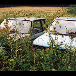 Eric La Casa / Taku Unami – Parazoan Mapping