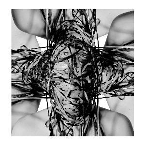 Diego Dacax – Voiceless Voices