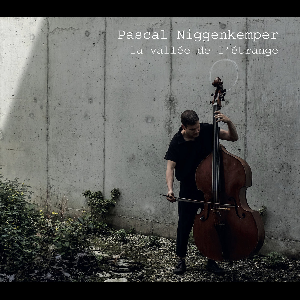 Pascal Niggenkemper – La Vallée De L'étrange