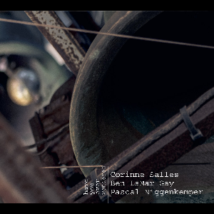 Corinne Salles, Ben Lamar Gay, Pascal Niggenkemper – Have You Ever Wondered