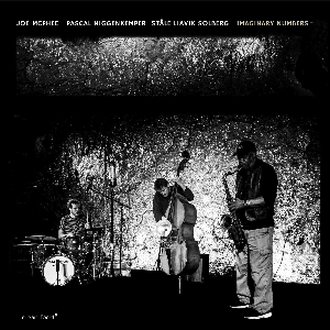 Imaginary Numbers (Joe Mcphee - Pascal Niggenkemper - Ståle Liavik Solberg) – Imaginary Numbers